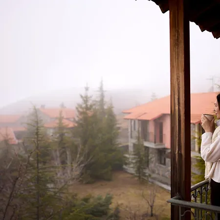 Domotel Neve Mountain Hotel Agios Athanasios (Pella)