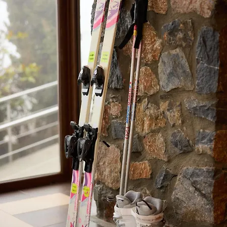 Domotel Neve Mountain 4*