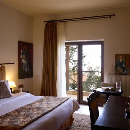 Hotel Domotel Neve Mountain 4*