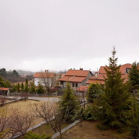 Domotel Neve Mountain