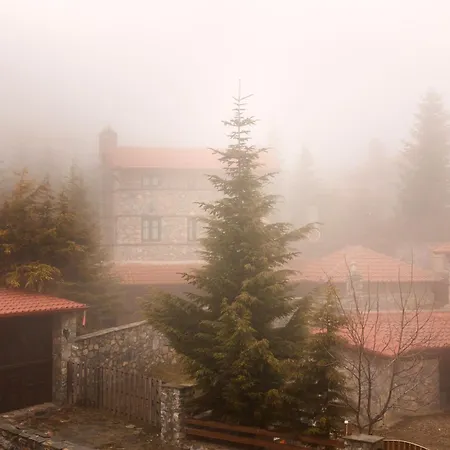 Hotel Domotel Neve Mountain 4*