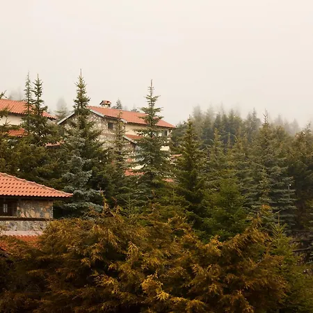 Domotel Neve Mountain Agios Athanasios (Pella)