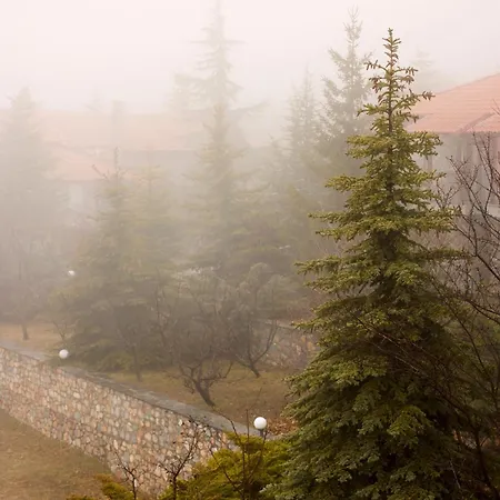 Domotel Neve Mountain 4* Agios Athanasios (Pella)