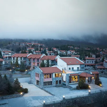 Domotel Neve Mountain