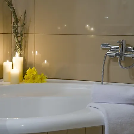 Domotel Neve Mountain