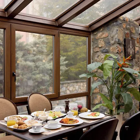 Domotel Neve Mountain