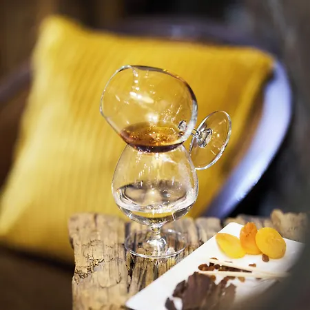 Domotel Neve Mountain Hotel