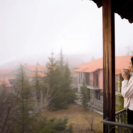 Hotel Domotel Neve Mountain Agios Athanasios (Pella)