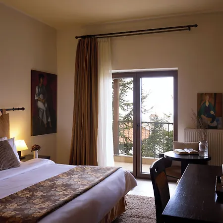 Domotel Neve Mountain Hotel