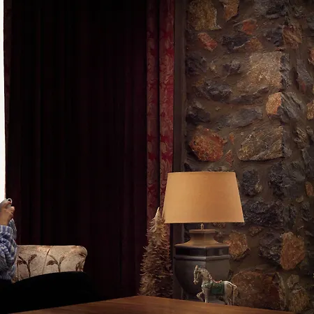 Domotel Neve Mountain