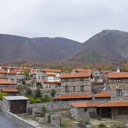 Domotel Neve Mountain