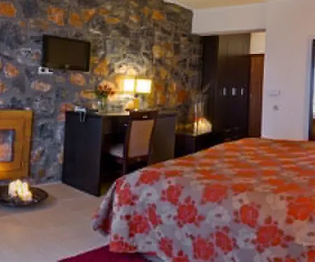 Hotel Domotel Neve Mountain 4*