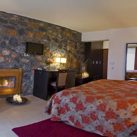 Domotel Neve Mountain Agios Athanasios (Pella)