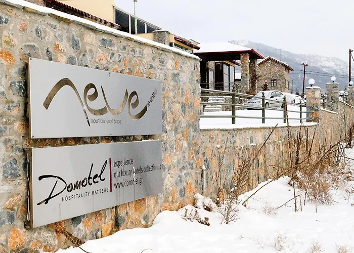 Domotel Neve Mountain 4* 帕雷斯阿吉萨那