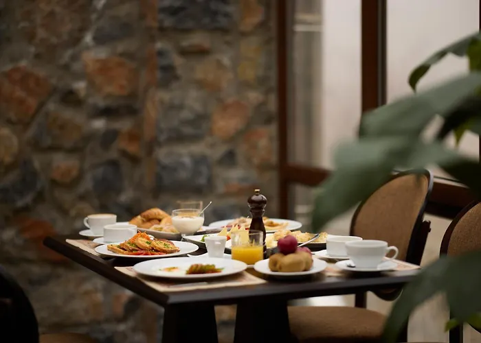 Hotel Domotel Neve Mountain Agios Athanasios (Pella)