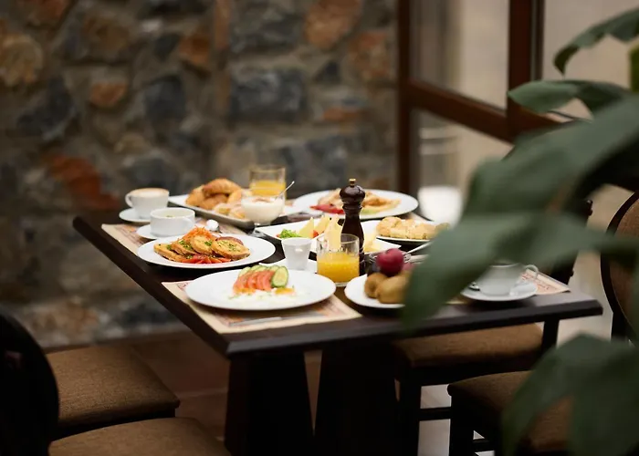 Domotel Neve Mountain 4* 帕雷斯阿吉萨那