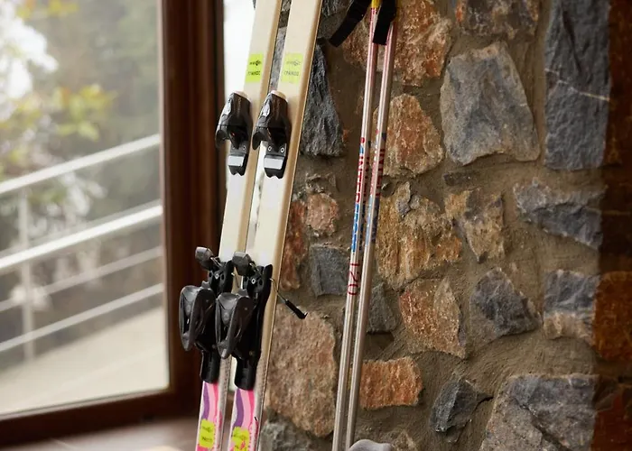 Domotel Neve Mountain 4*