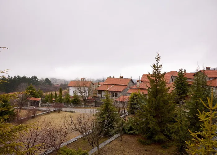 Domotel Neve Mountain