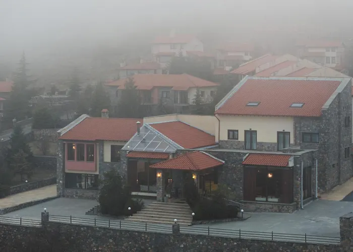 Domotel Neve Mountain 酒店 4*