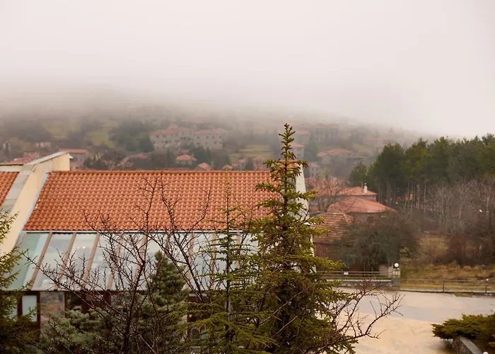 酒店 Domotel Neve Mountain