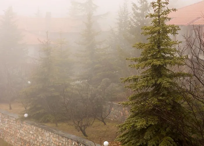 Domotel Neve Mountain 4* Палайос-Агиос-Атанасиос