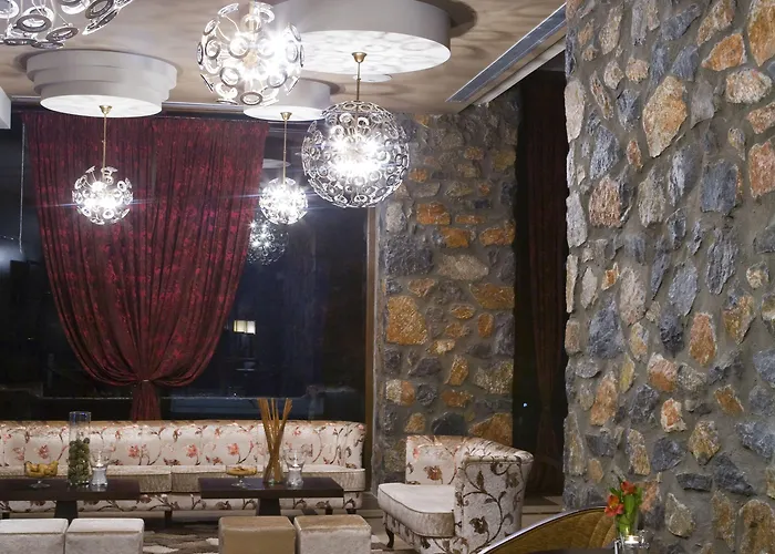 Hotel Domotel Neve Mountain Agios Athanasios (Pella)