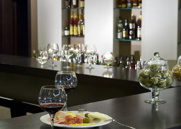 Domotel Neve Mountain 4* 帕雷斯阿吉萨那