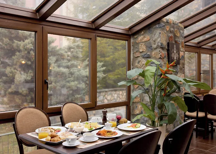 Domotel Neve Mountain