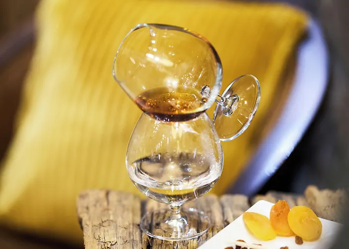 Domotel Neve Mountain 酒店