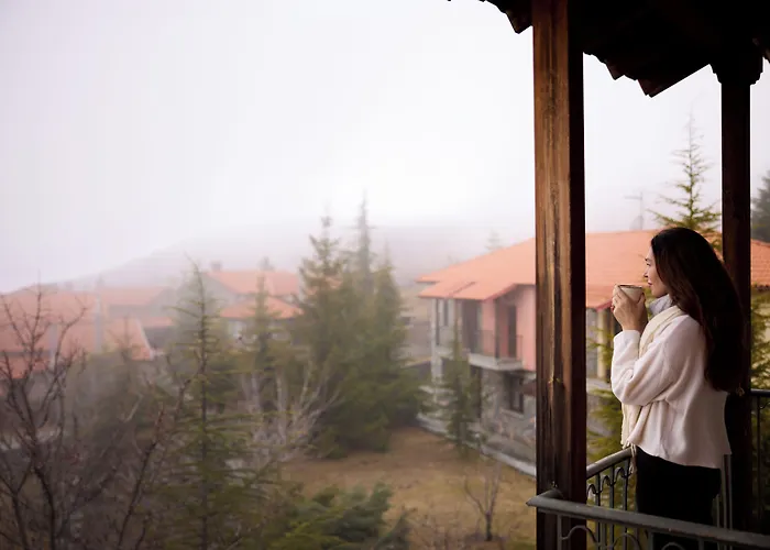 Hotel Domotel Neve Mountain Agios Athanasios (Pella)