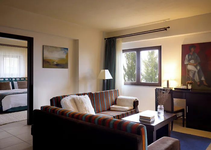 酒店 Domotel Neve Mountain