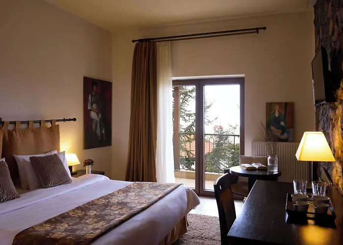 Domotel Neve Mountain 酒店