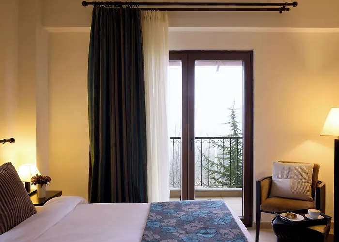 Domotel Neve Mountain 酒店 4*